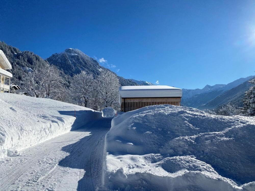 Haus Albuin Leilighet Sankt Gallenkirch Eksteriør bilde